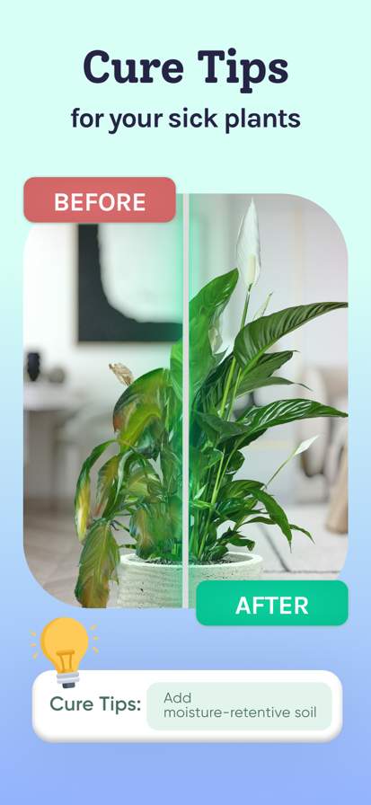 Plant Identifier, Care: Planty