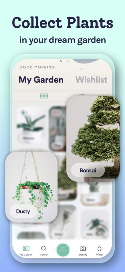 Plant Identifier, Care: Planty
