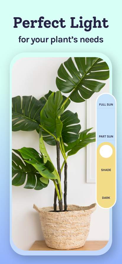 Plant Identifier, Care: Planty