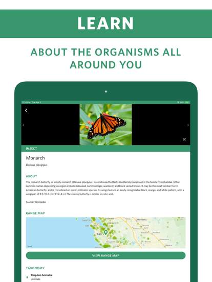 Seek by iNaturalist