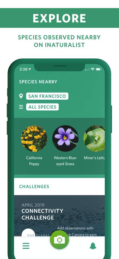 Seek by iNaturalist