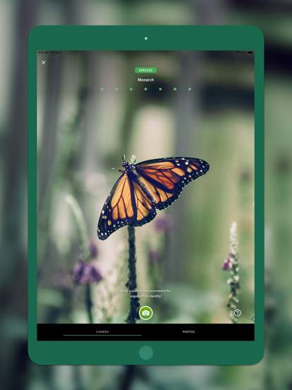 Seek by iNaturalist