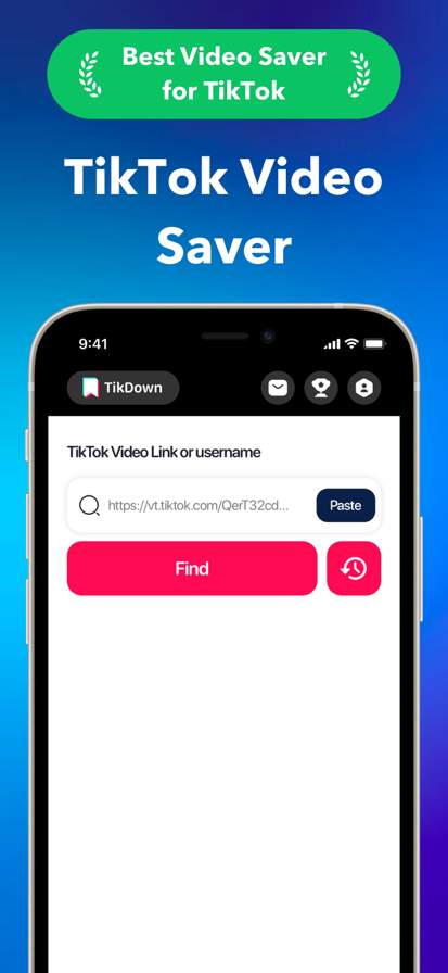 TikDown - TikTok Video Saver