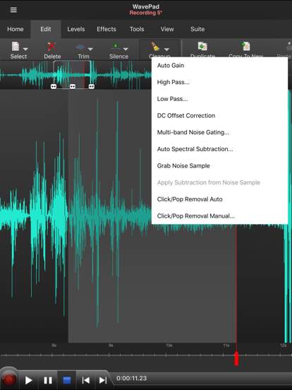 WavePad Music and Audio Editor