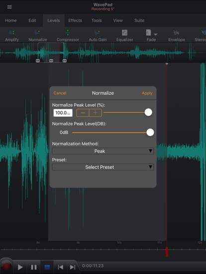 WavePad Music and Audio Editor