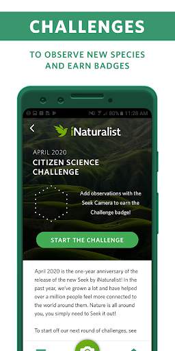 Seek by iNaturalist